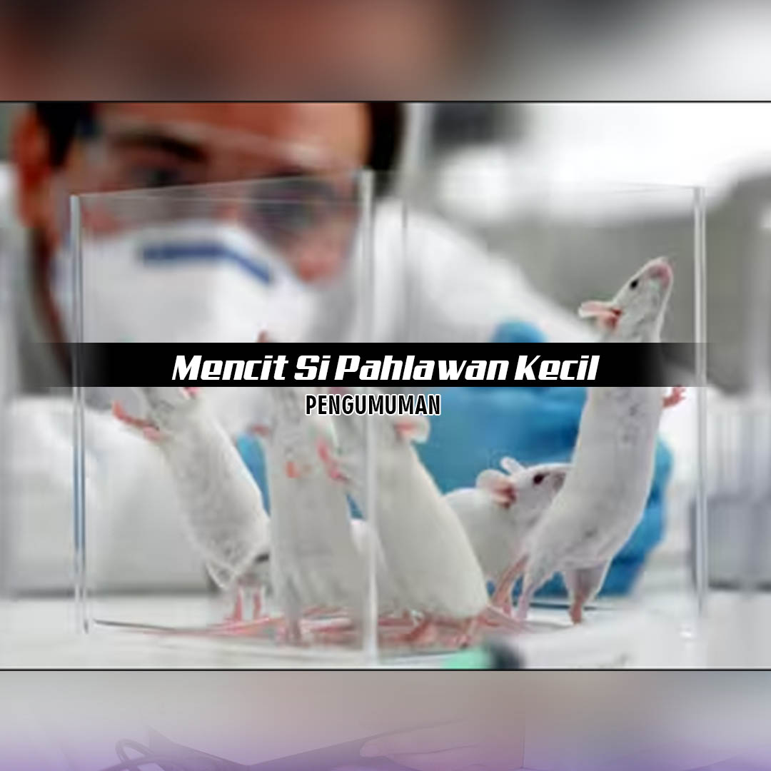 Mencit Si Pahlawan Kecil #pharmarumpedia – STIKES AR-RUM